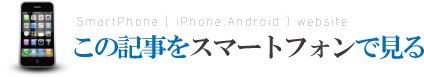 Light tab レビュー 持ち運びや緩衝用のケース選びとeneloopを利用して充電できるか使ってみたよ。その3をスマホで確認