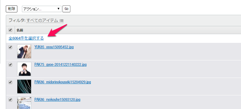 全部選択 全部選択