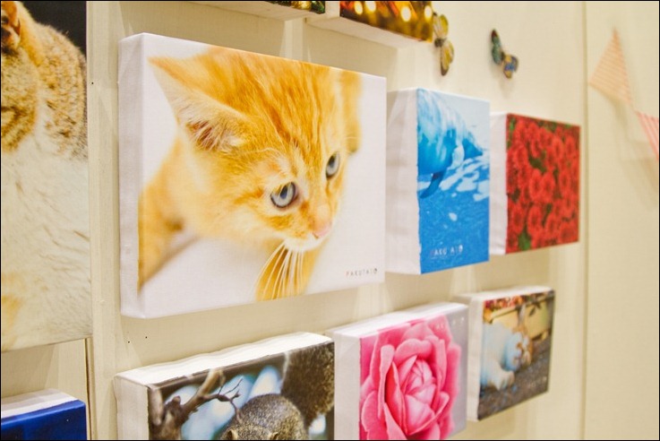 N811_faburikku N811_faburikku