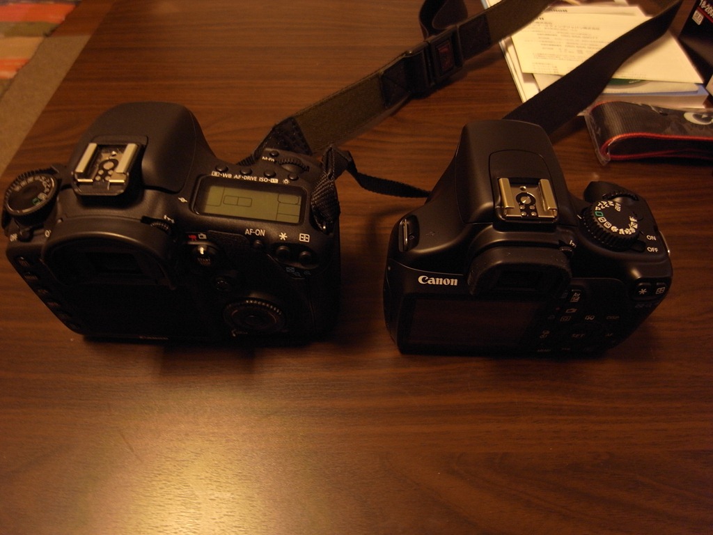 5万円以下で一眼レフ！Canon EOS kiss X50を買ってEOS7Dと比べてみました。 - すしぱくの楽しければいいのです。