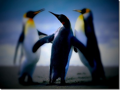 tiltshift