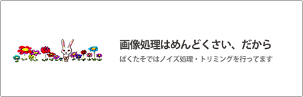 noizusyori