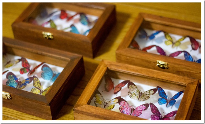 N811_shioc N811_shioc