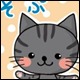 photo photo