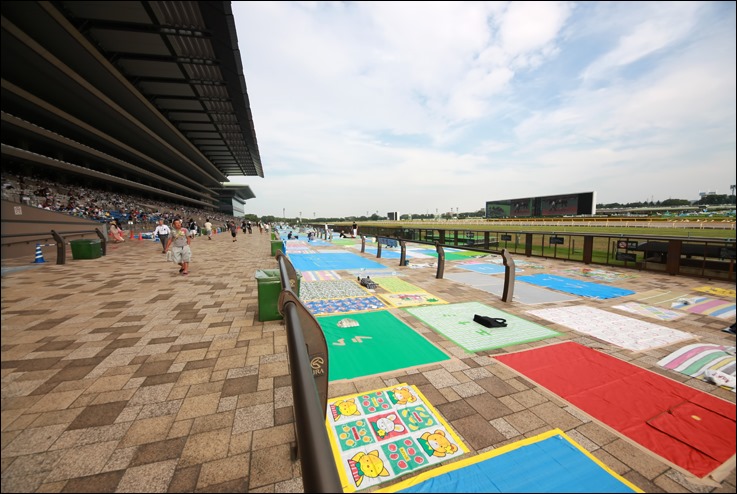 東京競馬場きたばかり