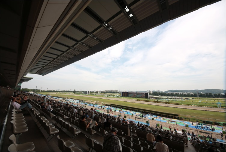 東京競馬場スタンドから