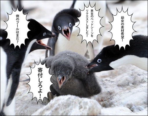 最近のリクエスト事情