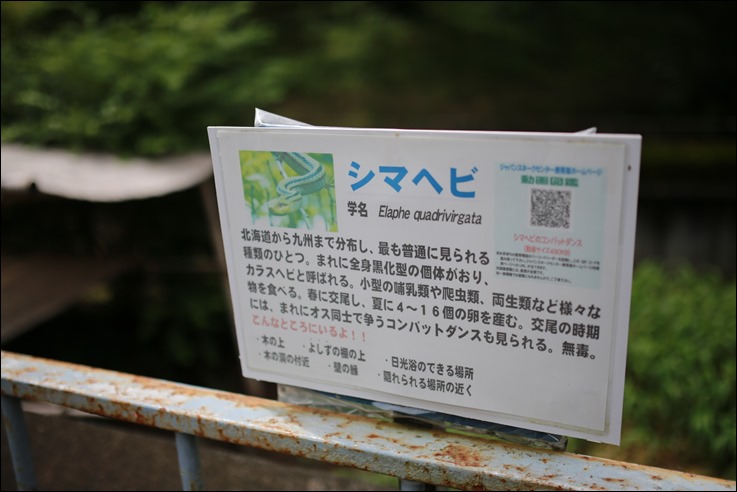 0I9A3855