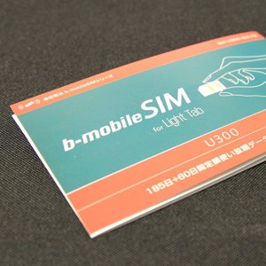 SIMフリーの新しいiPadで格安の日本通信b-mobile SIMを利用してみた。