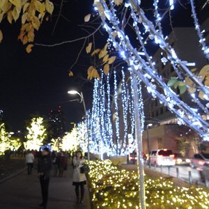 東京ミッドタウンのスターライトガーデンがすごいらしいので六本木へ見に行ってきました