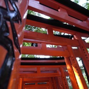 京都の無縁仏で有名な化野念仏寺～商売繁盛祈願の伏見稲荷を観光してきました。
