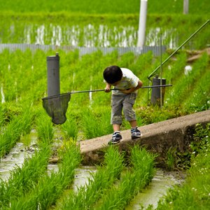 ここが横浜県？一面田畑で自然を体感できる寺家ふるさと村に行ってきました。