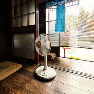 お盆休みに福島県へ帰省して写真撮ってきました。田舎の夏や五色沼など