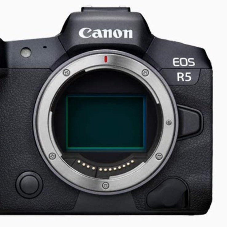 Canon EOS R5 に買い替えて - すしぱくの楽しければいいのです。